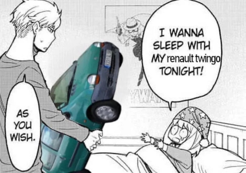 WANNA SLEEP WITH renault twinga TONIGHT! Ohi
