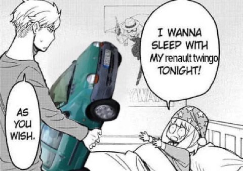 WANNA SLEEP WITH renault twinga TONIGHT! Ohi