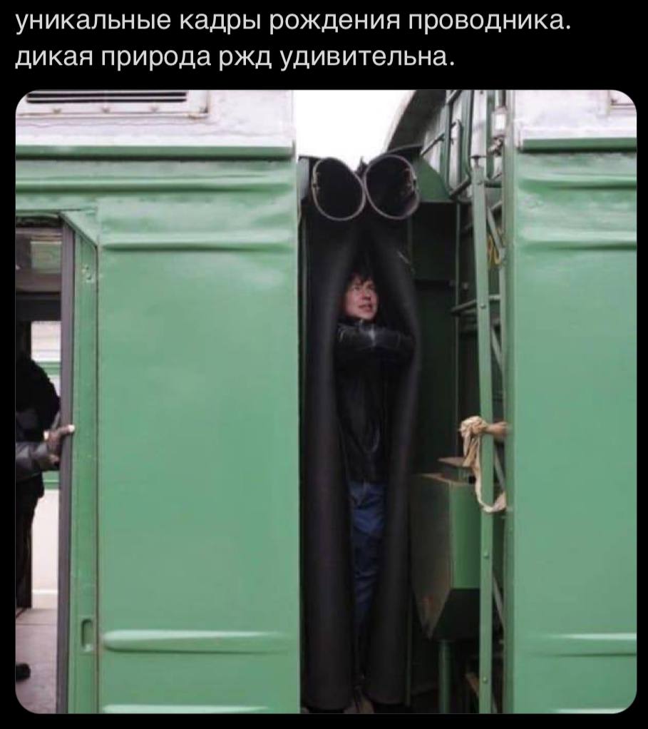уникальные кадры рождения проводника. дикая природа ржд удивительна.