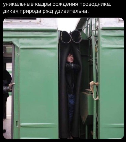 уникальные кадры рождения проводника. дикая природа ржд удивительна.