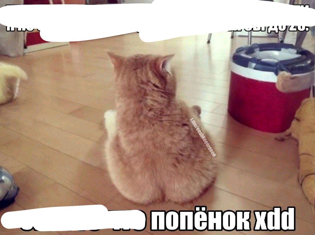 а i