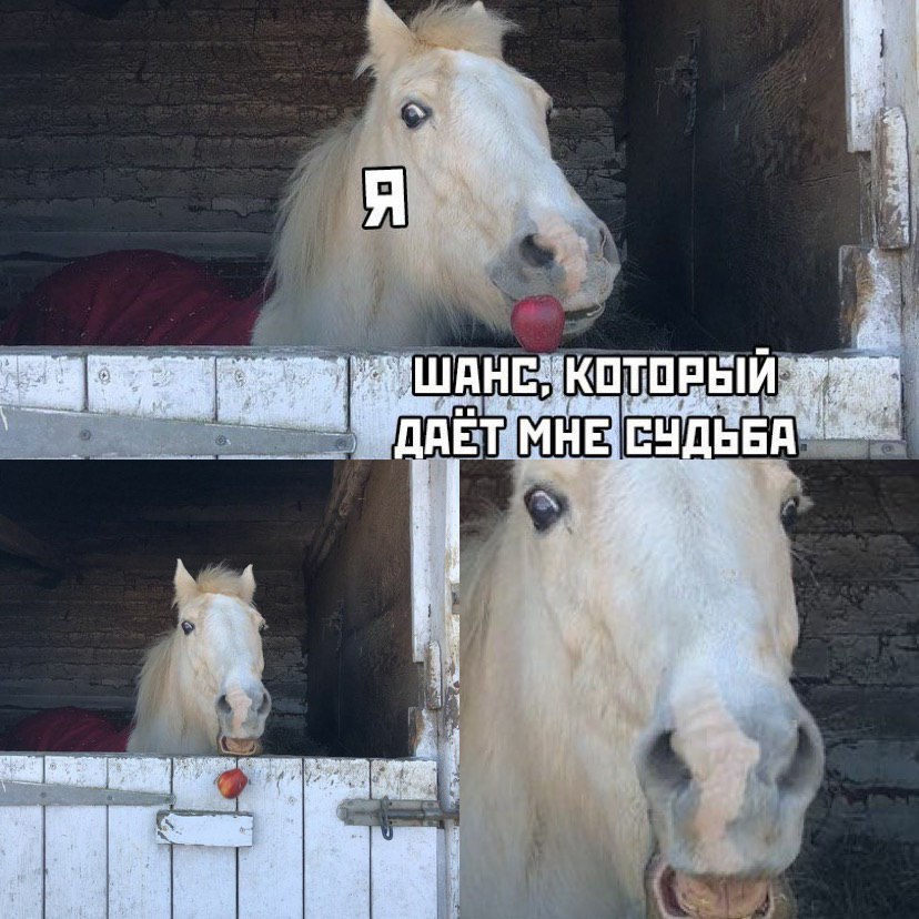 ШАНЕ KOTOR