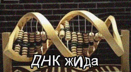 извините
