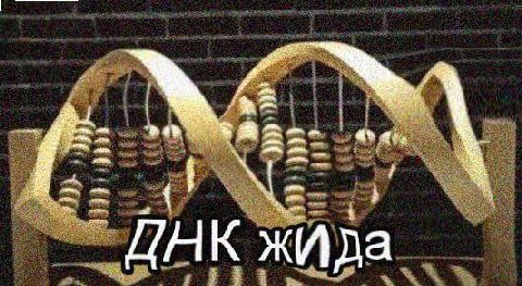 извините