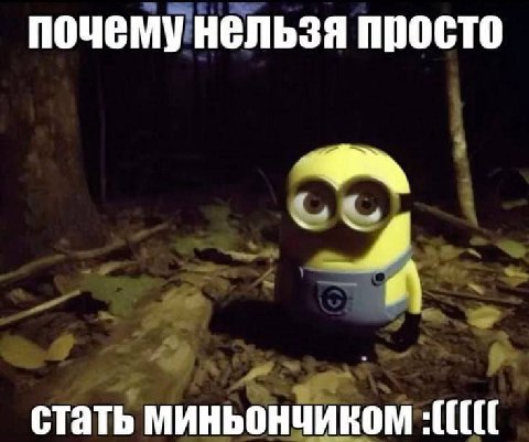 почему нельзя просто стать миньончиком