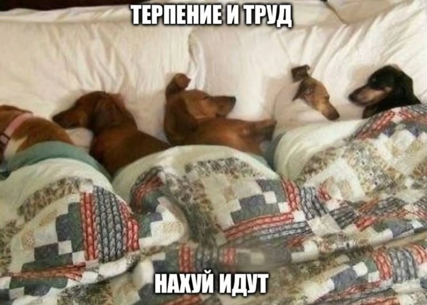 -ТЕРПЕНИЕИ ТРУД у НАХУИ ИДУТ