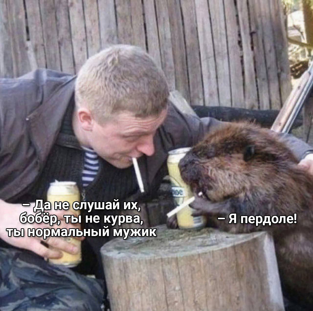 4, 4! Слушай 60 бер, ТЫ не курва, пердоле! нормальный мужик 4, 3,