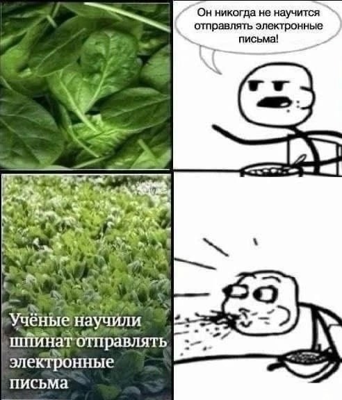 On никогда не научится отправлять электронные письма! we к 7 я научили отправлять электронные письма