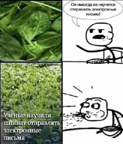 On никогда не научится отправлять электронные письма! we к 7 я научили отправлять электронные письма