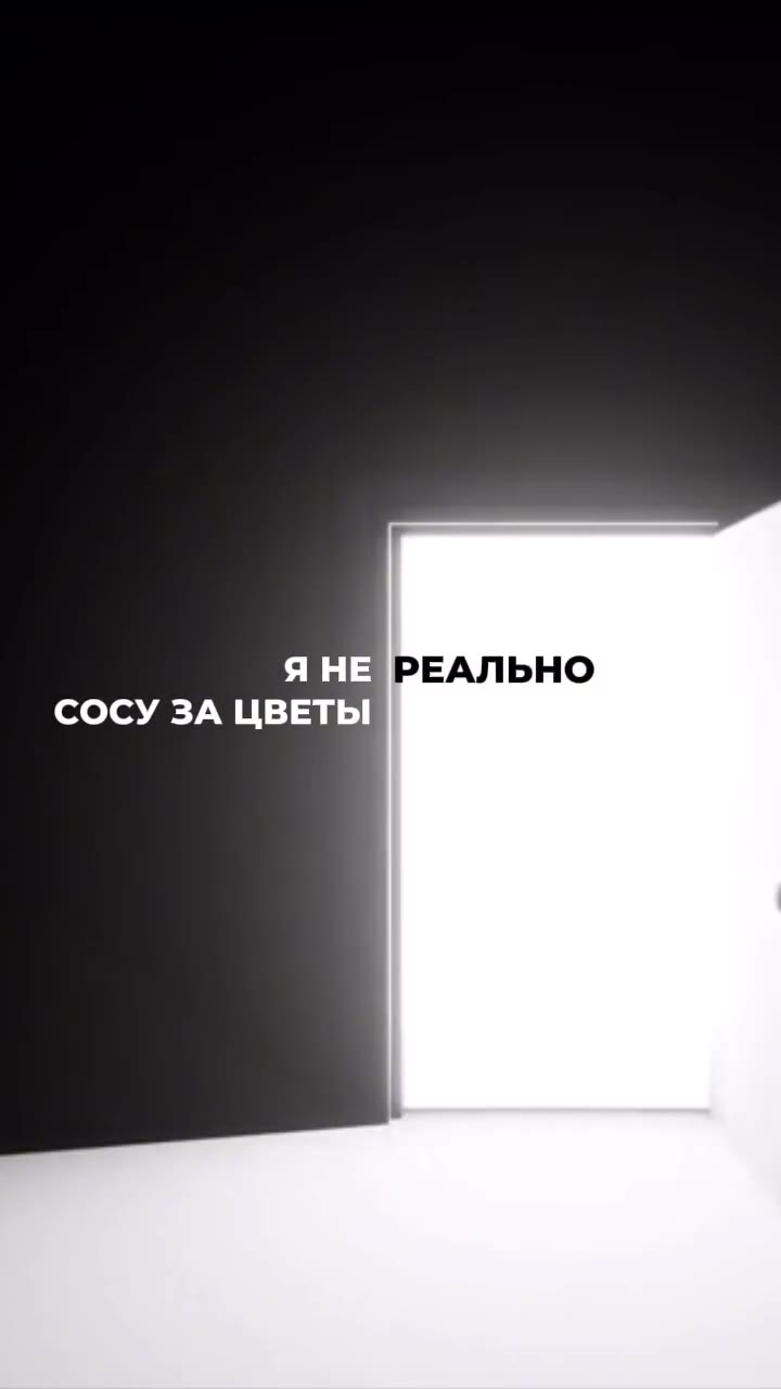 Вносите кота и двух блондинок