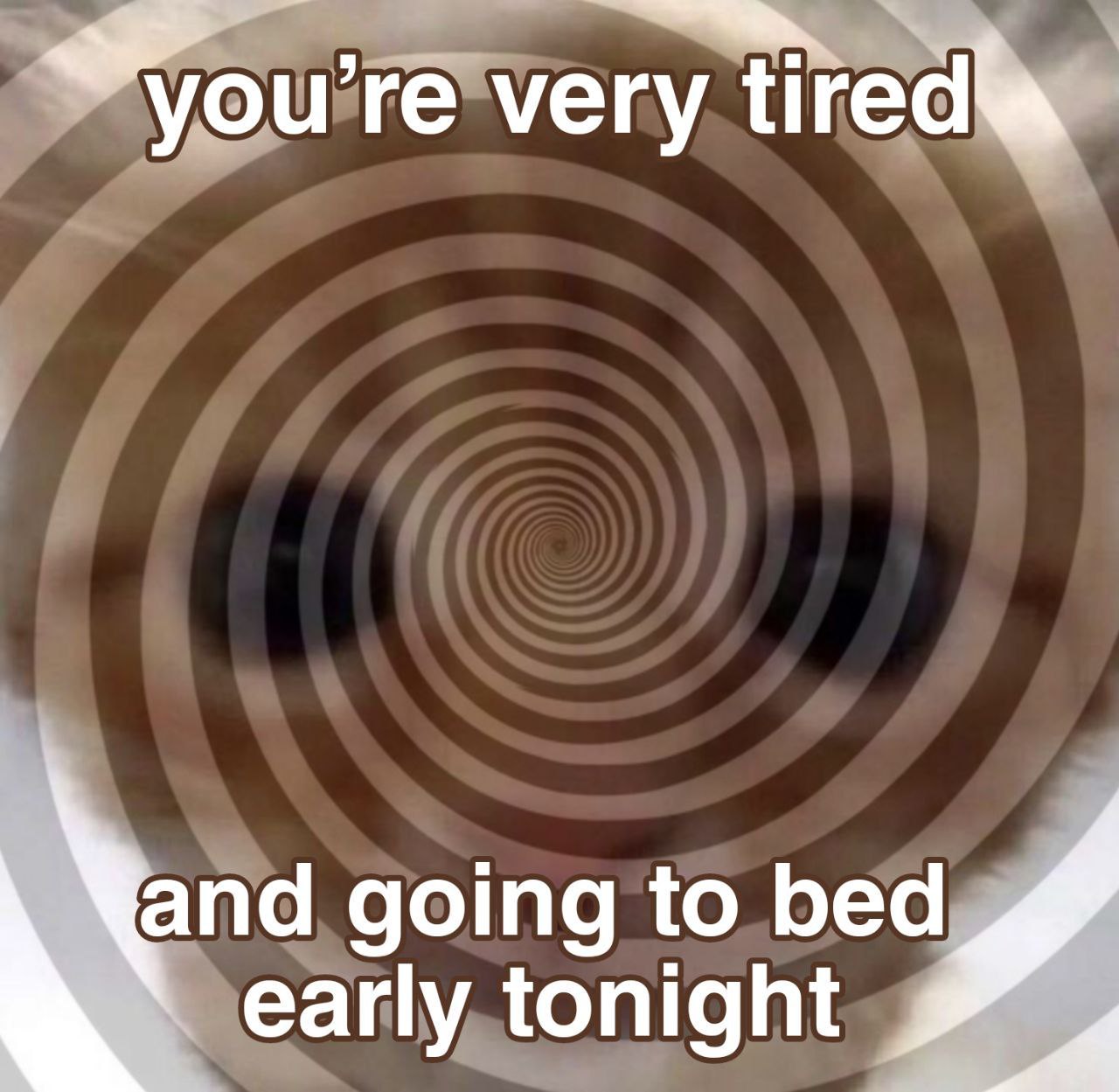 very firedly and going to bed. 1 early tonight