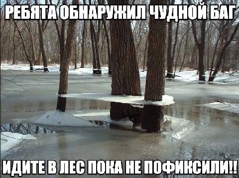 ОБНАРУЖИЛ ЧУДНОЙ 4 fea ИДИТЕ В ЛЕС ПОКА HE ПОФИКСИЛИ