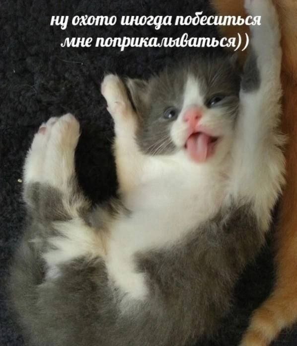 ну охото иногда подеситься ‚мне поприкальваться)