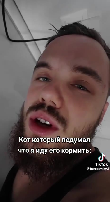 Кот подумал чтоя идуего кормить: - Коткоторый подумал: