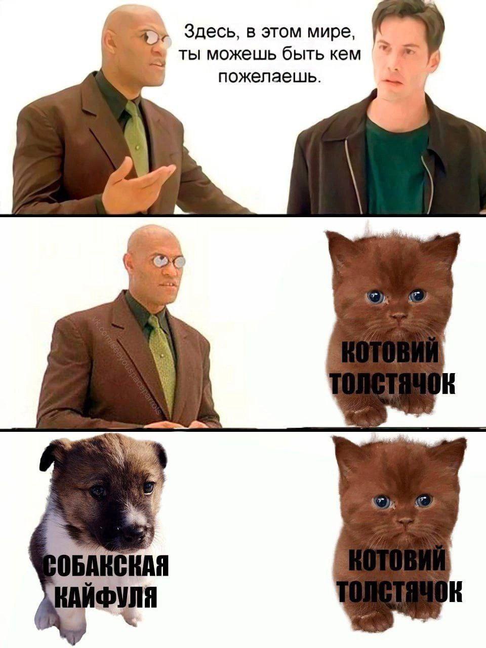 Здесь, в этом мире, ты можешь быть кем пожелаешь. OBARCKAA ФУЛЯ
