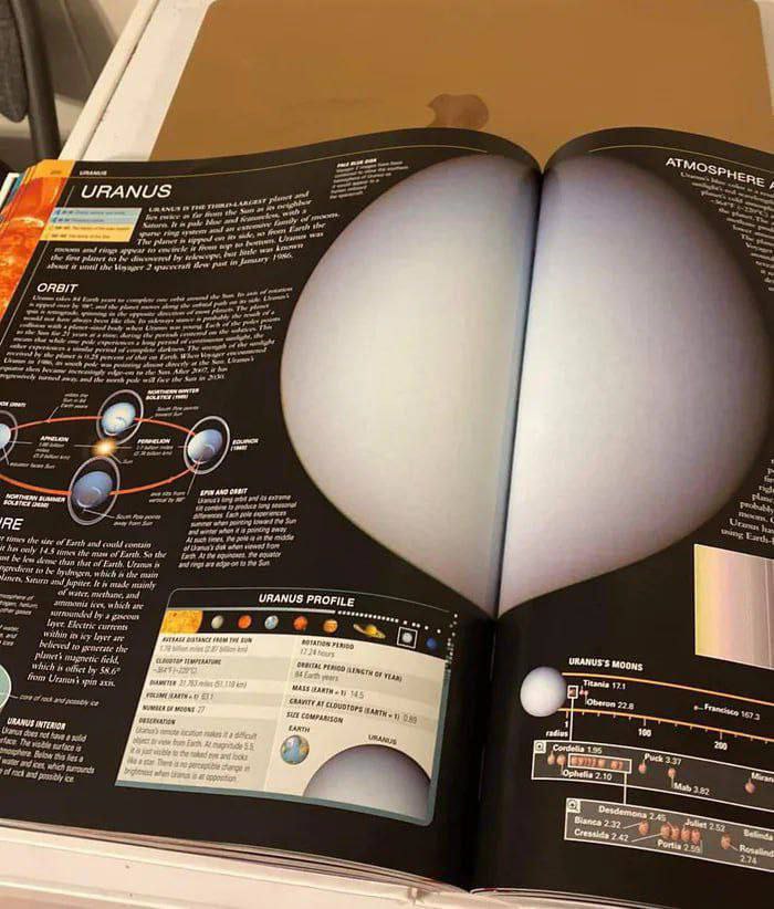 🌚