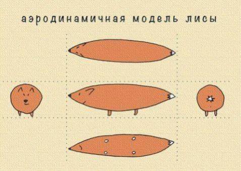 аэродинамичная модель лисы