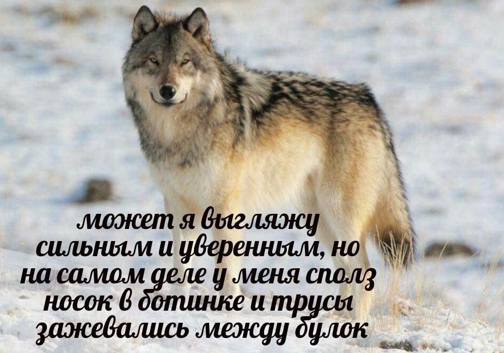 Я и ron самом меня носок 6 ботинке ump между
