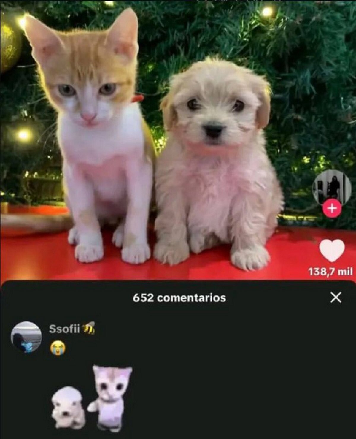 it 138,7 mil 652 comentarios