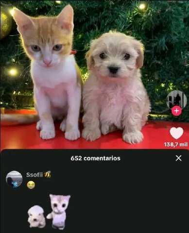 it 138,7 mil 652 comentarios