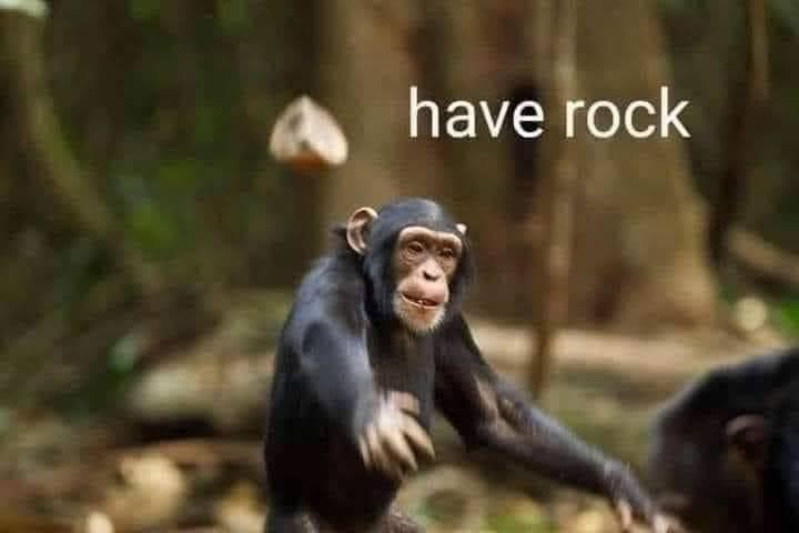 have rock