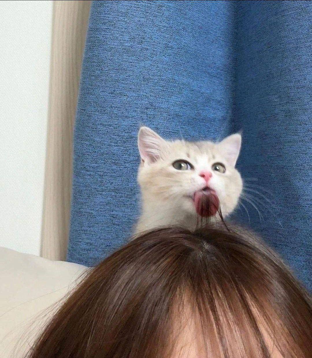 ite