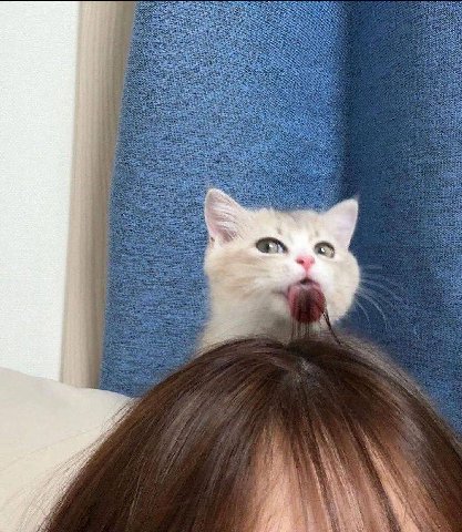 ite