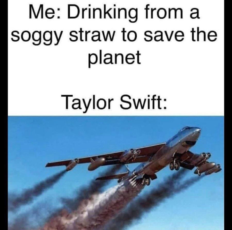 Me: Drinking from a soggy straw to save the planet Taylor Switt: