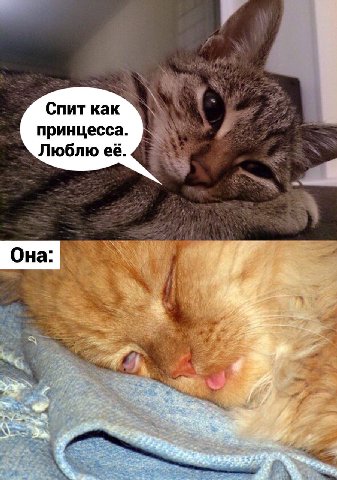Спит как ANS принцесса. 7. Люблю её. У Она