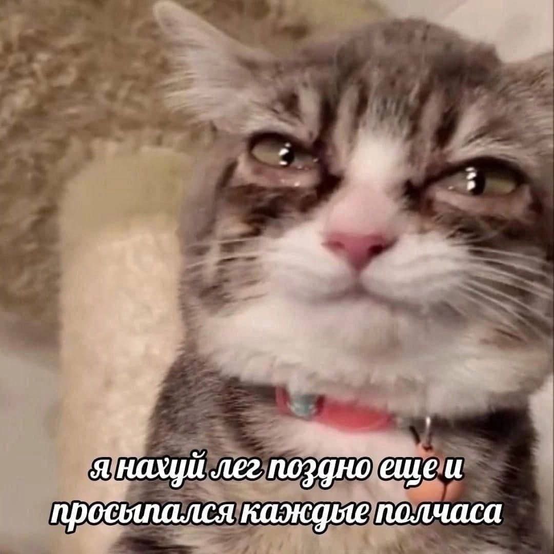 a. я нахуй лег поздно ещеи просыпался каждые полчаса