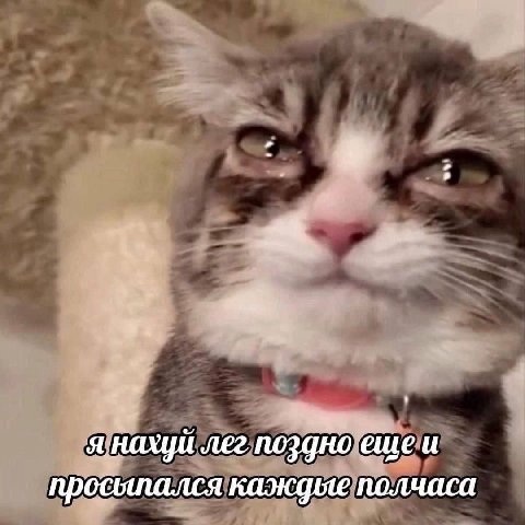a. я нахуй лег поздно ещеи просыпался каждые полчаса