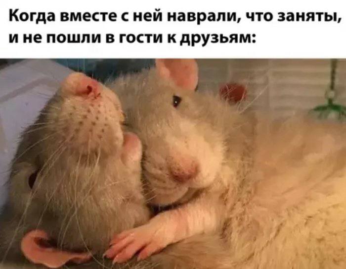 Когда вместе с ней наврали, что заняты, ине пошли в гости к друзьям: