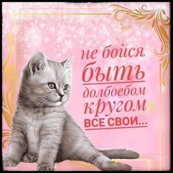не боися б долбоебом ВСЕ СВОИ...