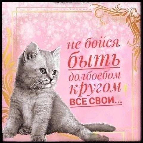 не боися б долбоебом ВСЕ СВОИ...