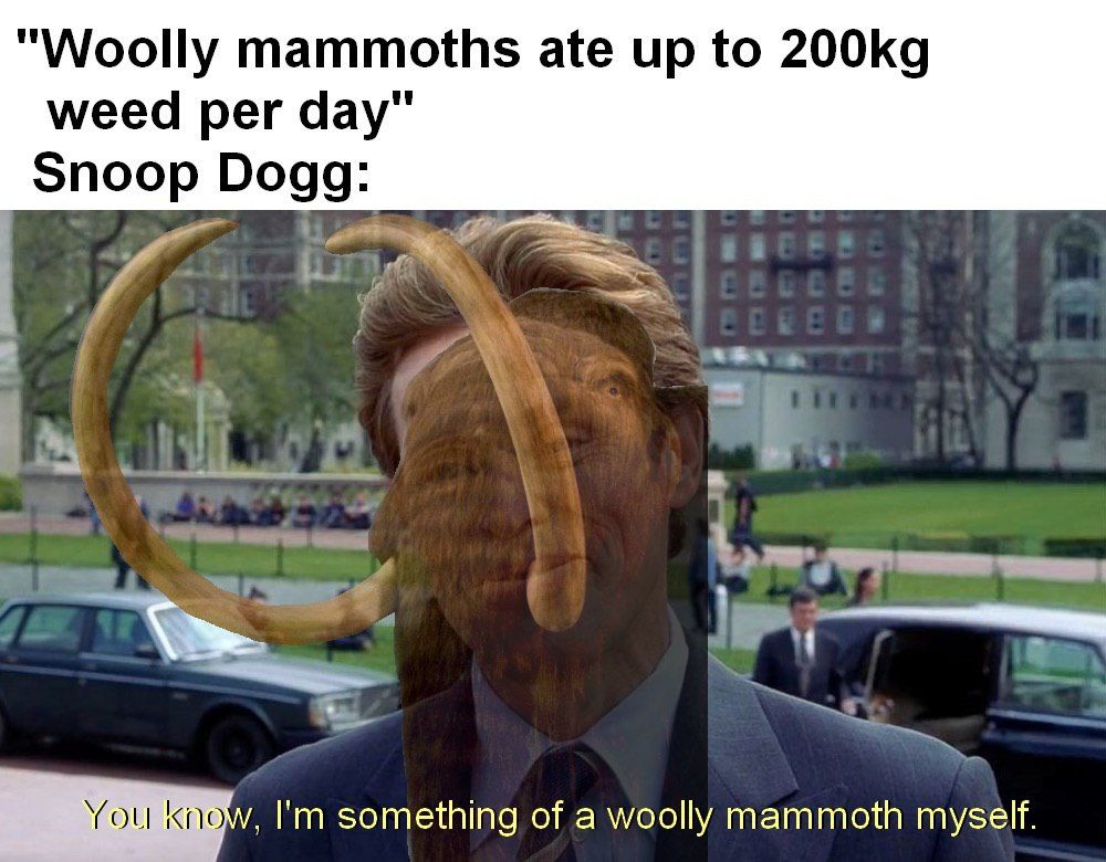"Woolly mammoths ate up to weed per day" Snoop Dogg: something of a woolly mammoth myself.