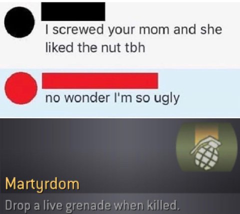 screwed your mom and she liked the nut tbh no wonder so ugly Martyrdom Drop a live grenade when killed.