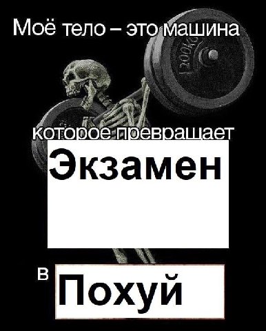 Мое тело это еврашает Экзамен Похуй