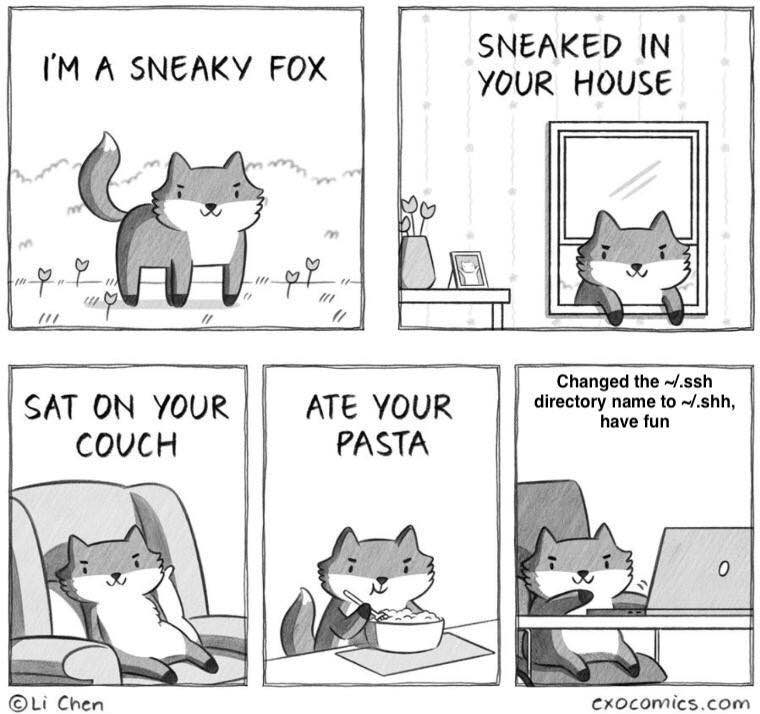 IN ГМА SNEAKY FOX HOUSE 2% В Changed the ~/.ssh SAT YOUR АТЕ YOUR directory name to ~/.shh, ave тип COUCH PASTA Chen