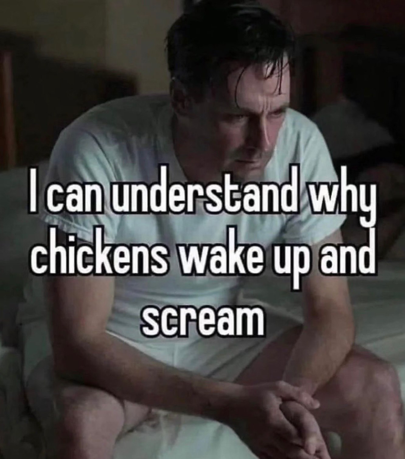 can understand why chickens wake up and scream
