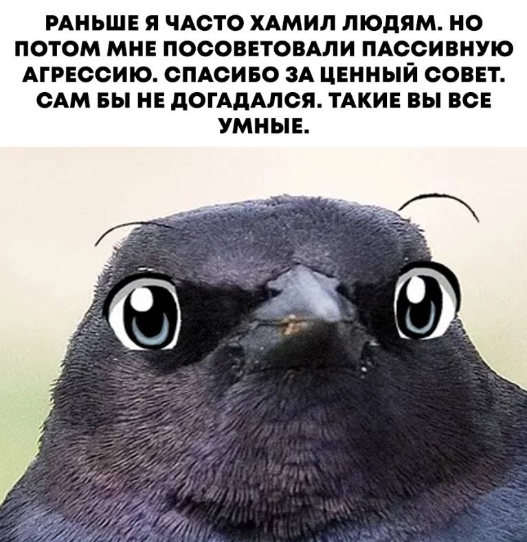 РАНЬШЕ Я ЧАСТО ХАМИЛ ЛЮДЯМ. НО ПОТОМ МНЕ ПОСОВЕТОВАЛИ ПАССИВНУЮ АГРЕССИЮ. СПАСИБО ЗА ЦЕННЫЙ СОВЕТ. САМ БЫ НЕ ДОГАДАЛСЯ. ТАКИЕ ВЫ ВСЕ УМНЫЕ.