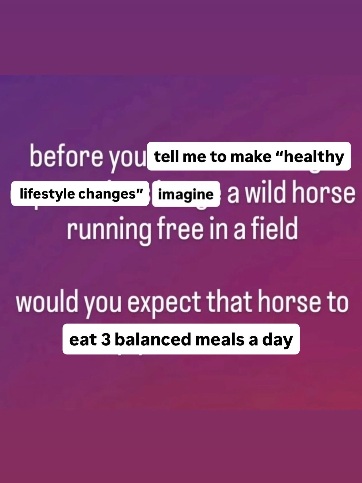 tell me to таке падте 2 wild horse running free ina field would you expect that horse to