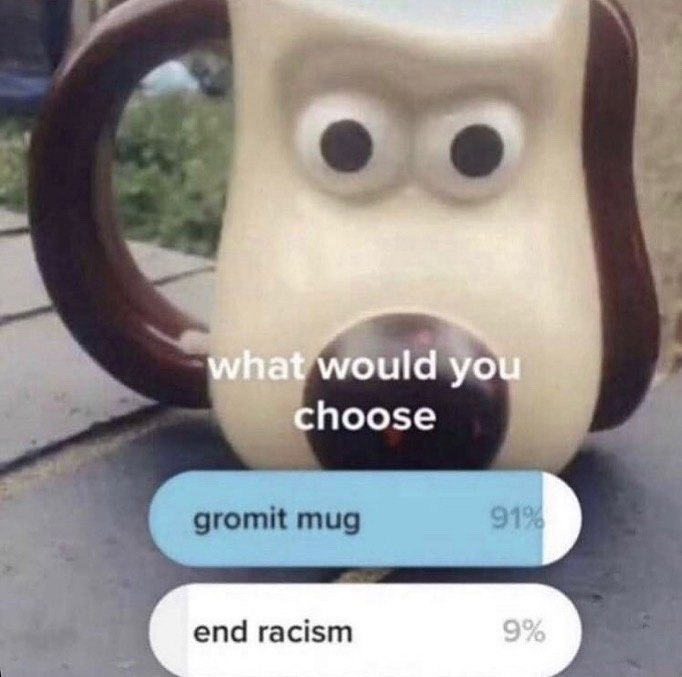 what would you choose