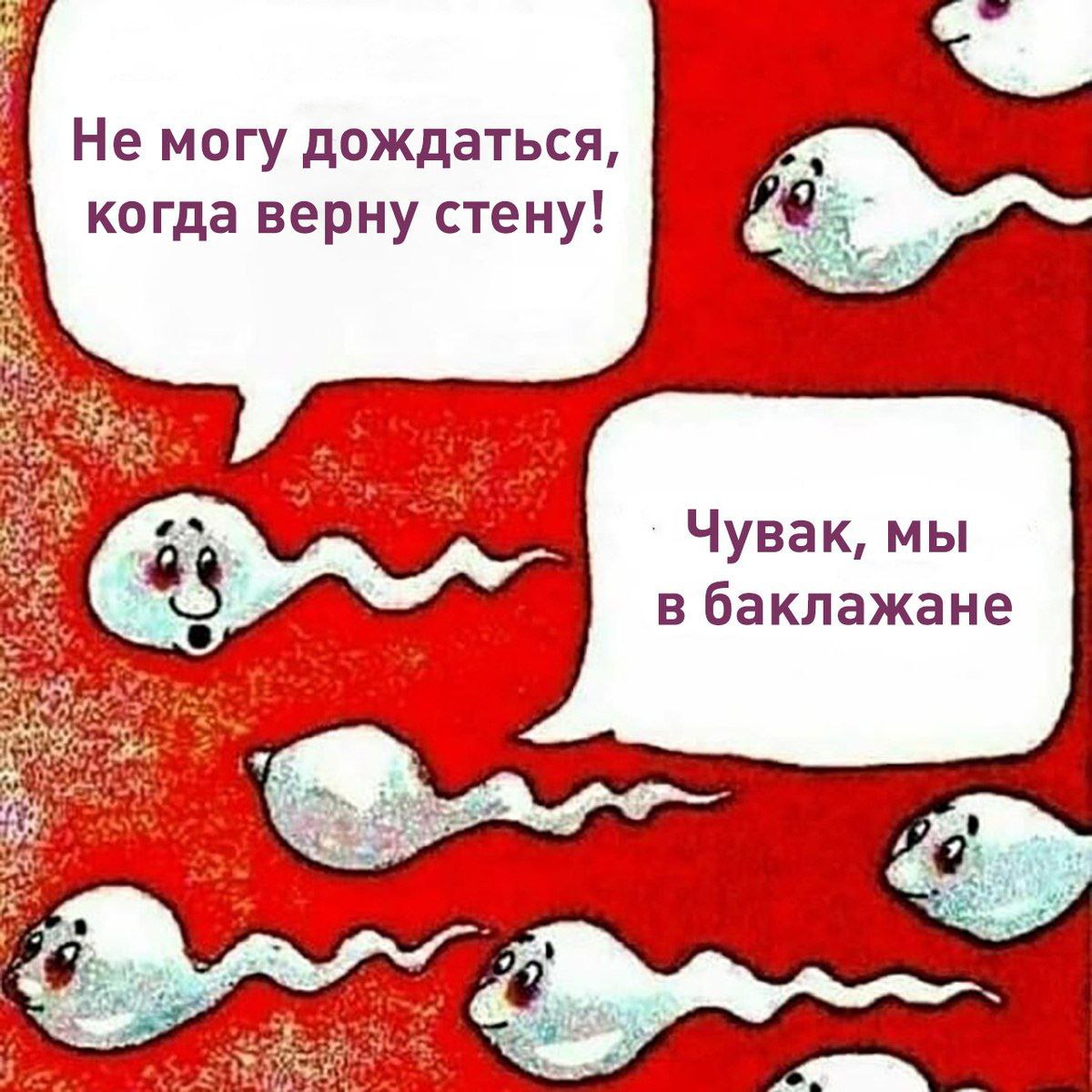 Не могу дождаться, когда верну стену! Чувак, мы в баклажане