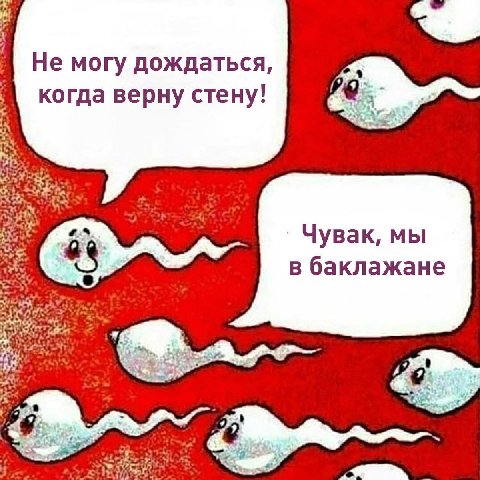 Не могу дождаться, когда верну стену! Чувак, мы в баклажане