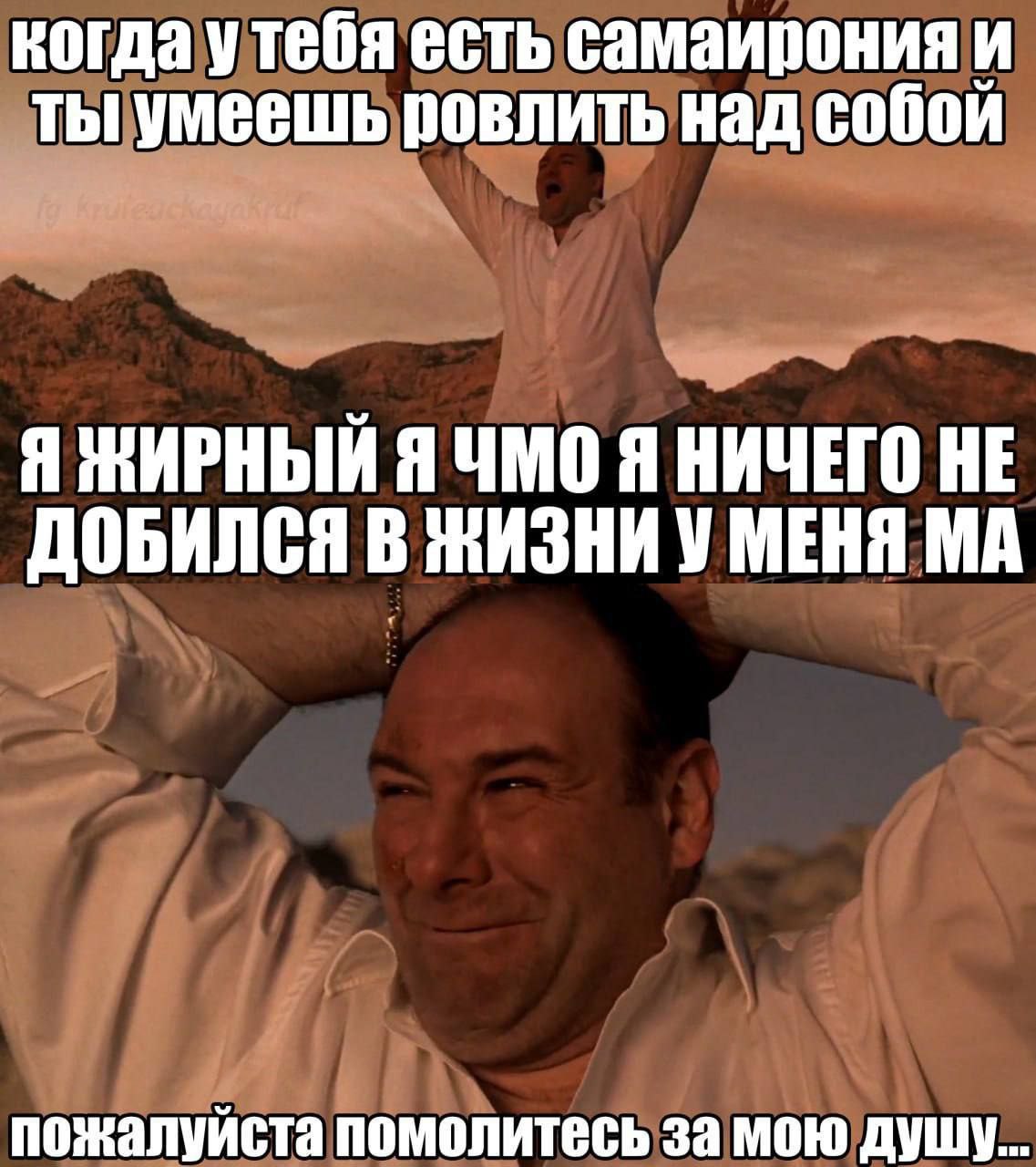 когда утебя есть самаирония и ты умеешь ровлить над собой Я МИРНЫЙ Я ЧМО Я НИЧЕГО НЕ ДОБИЛСЯ В ЖИЗНИ У МЕНЯ пожалуйста помолитесь за мою душу...