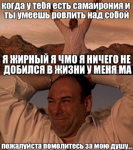 когда утебя есть самаирония и ты умеешь ровлить над собой Я МИРНЫЙ Я ЧМО Я НИЧЕГО НЕ ДОБИЛСЯ В ЖИЗНИ У МЕНЯ пожалуйста помолитесь за мою душу...