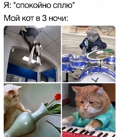 Я: *CNOKONHO Мой кот в 3 ночи: i 1