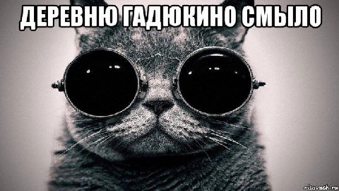 МЫЛО ДЕРЕВНЮ`ГАДЮКИНО С my о 22 4 risovach.ru