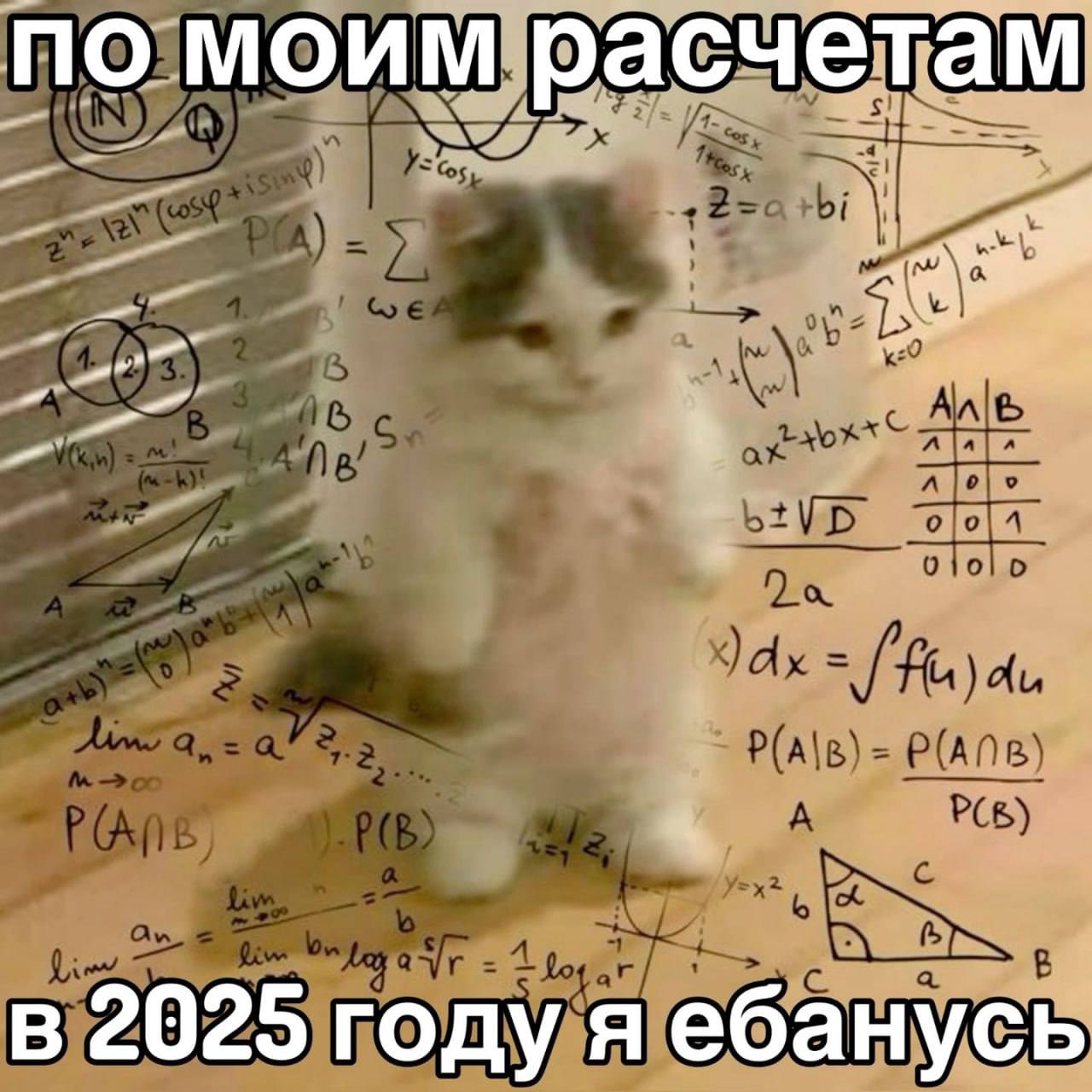 по моим расчетам в 2025 году я ебанусь