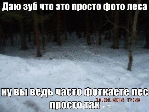 Даю зуб что это просто фото леса нувы ведь часто фоткаете лес
